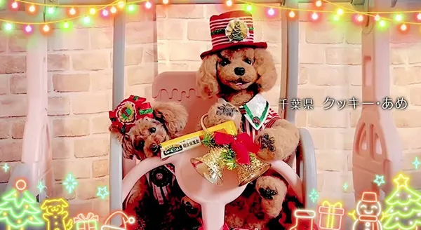 Wanちゅ～る 2025年 クリスマス篇 Part2