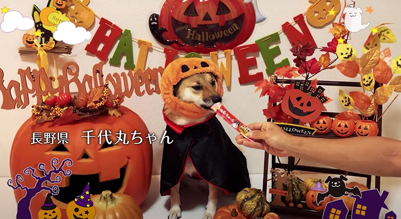 Happy Halloween2021篇