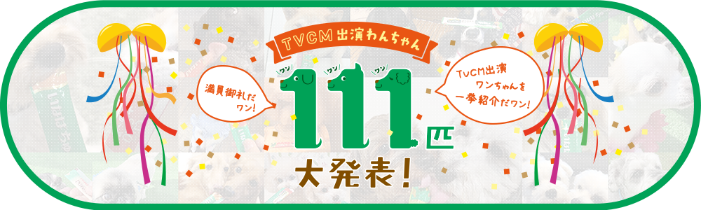 TVCMワンちゃん 111匹 大発表！